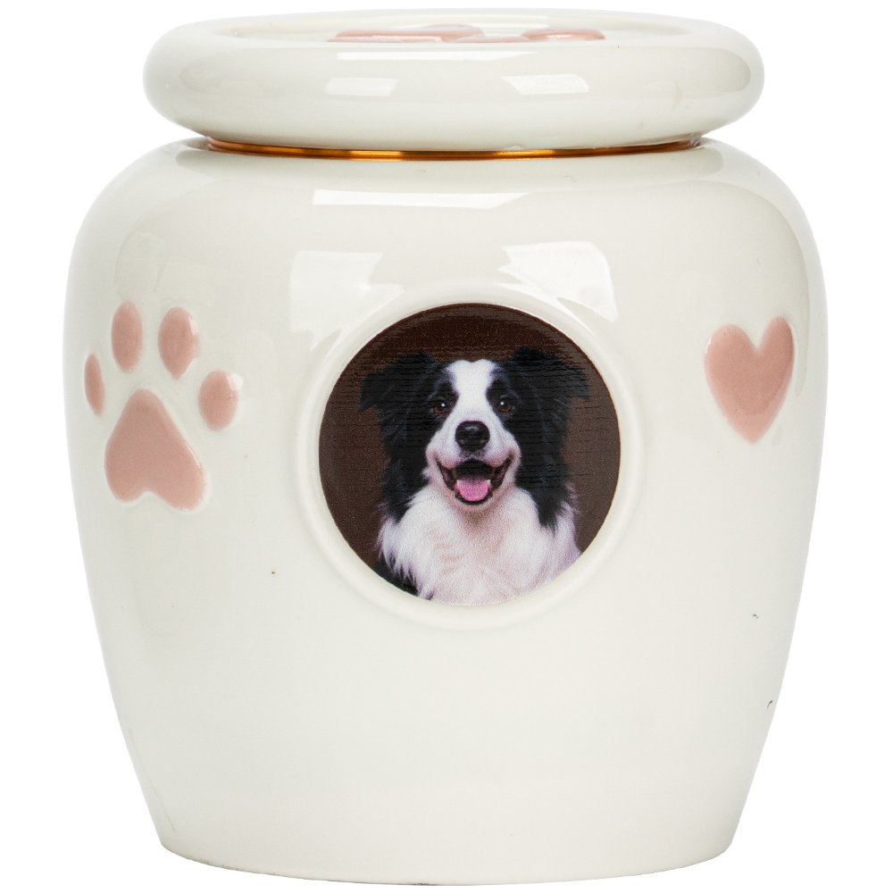 Custom Pet Ashes Urn with Photo, Personalized Dog Memorial Ceramic Urn Keepsake
