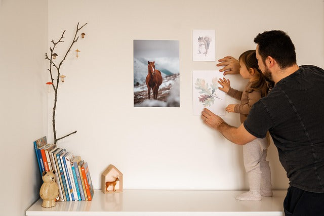 How to Print Your Bird Photos: Wall Art Guide (2026)