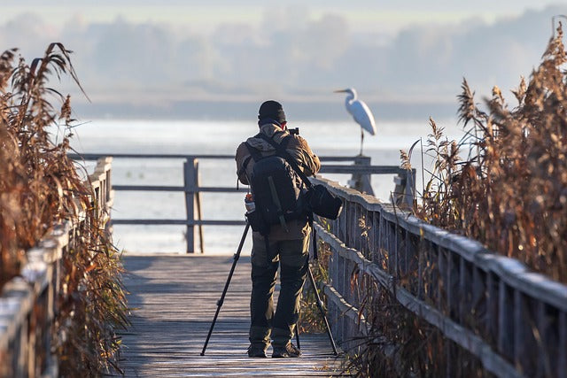 How to Photograph Backyard Birds: Camera Settings That Work