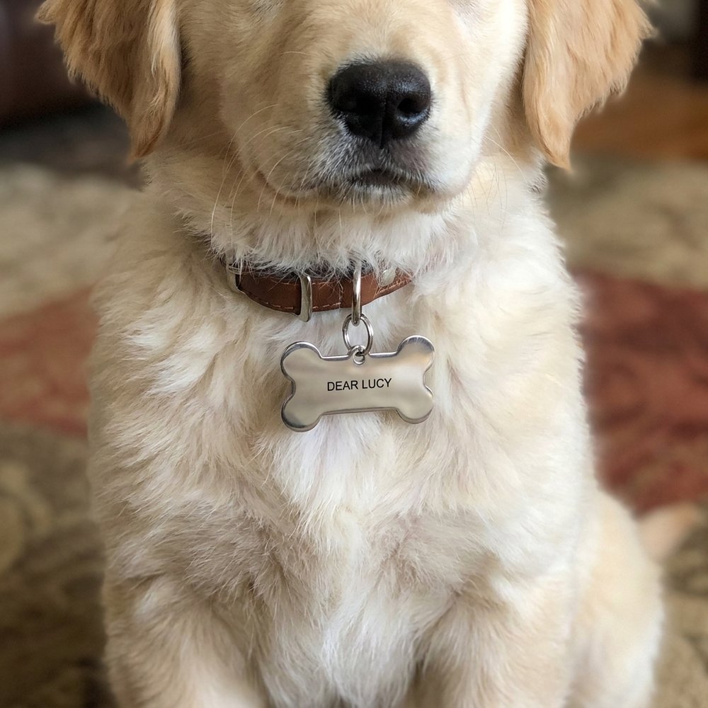Personalized Bone-Shaped Pet Name Tag, Custom Engraved Dog ID Tag, Rose Gold Pet Collar Tag