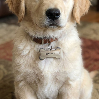 Personalized Bone-Shaped Pet Name Tag, Custom Engraved Dog ID Tag, Rose Gold Pet Collar Tag