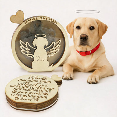 Pet Memorial Box