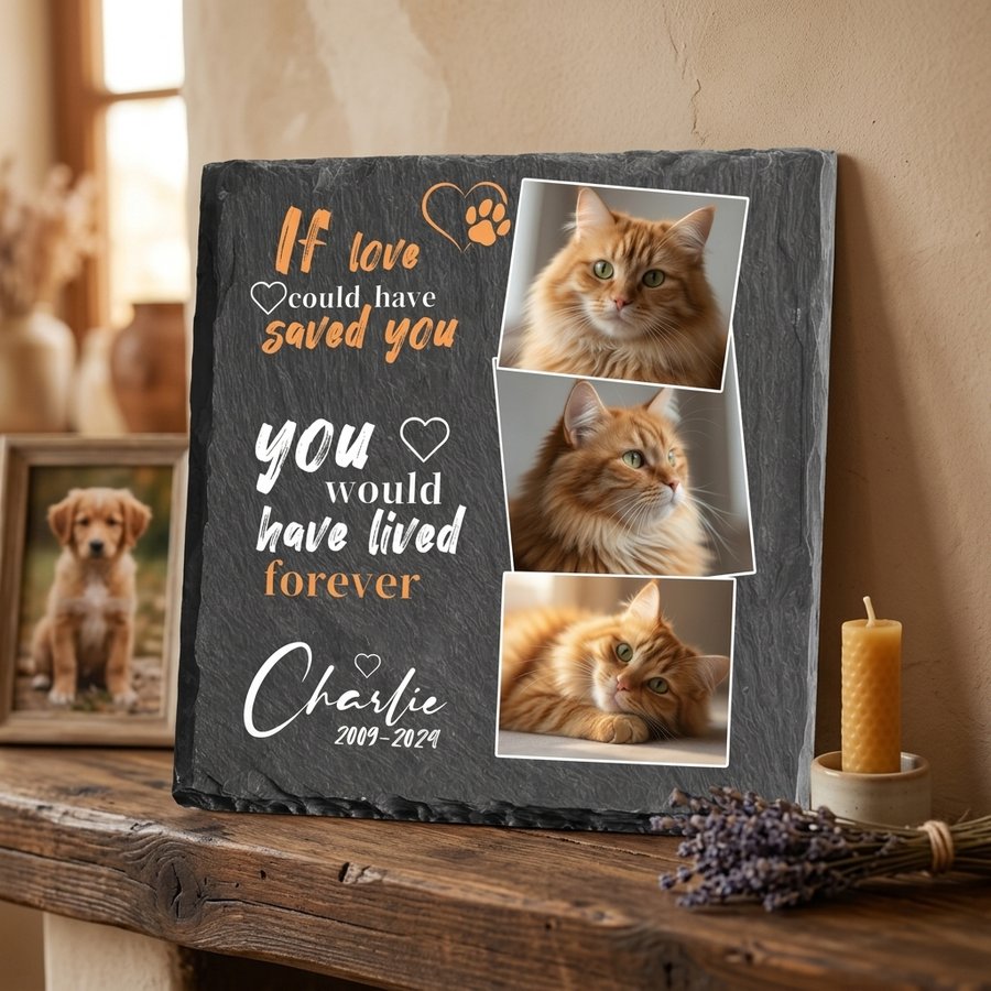 Personalized Cat Memorial Stone with Photo Collage, Custom Pet Grave Marker for Outdoor Tribute