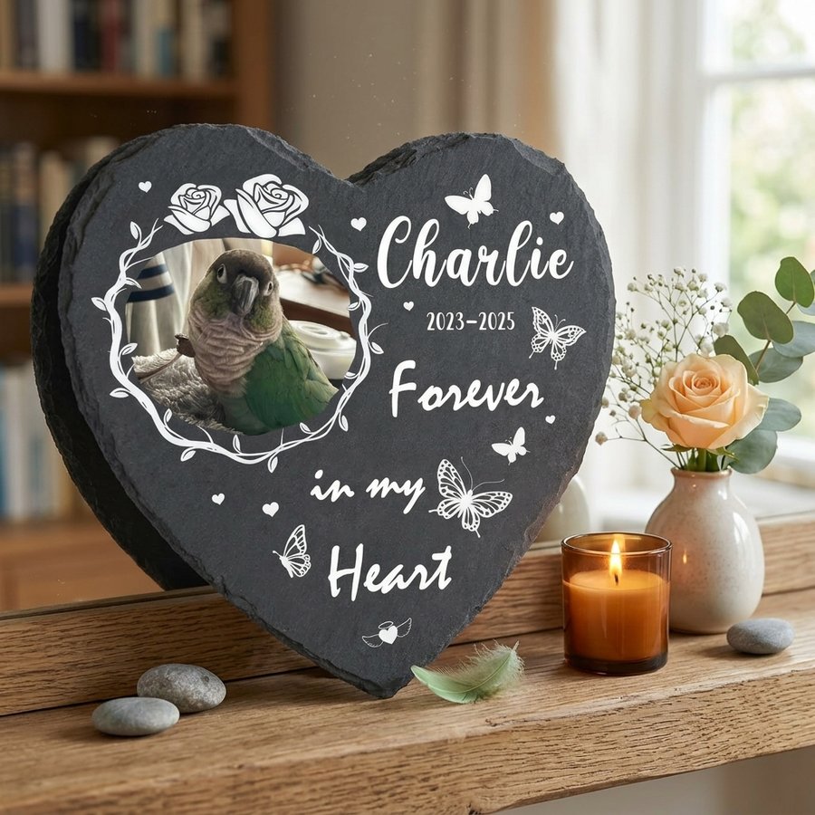 Personalized Heart Pet Memorial Stone with Photo, Custom Memorial Plaque, Forever in My Heart Design