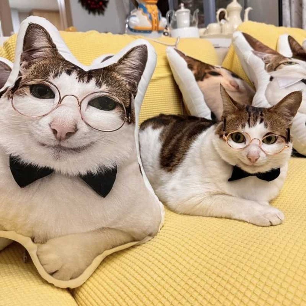 Custom Pet Body Pillow with White Border - Personalized Cat & Dog Shaped Plush Cushion, Funny Pet Lover Gift