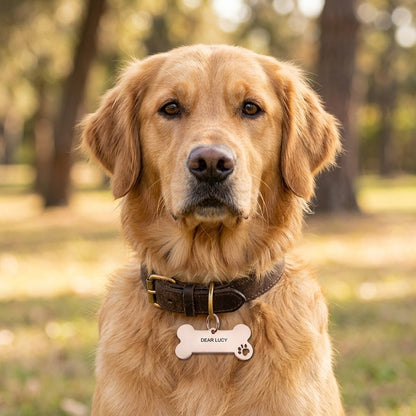 Personalized Gold Bone Pet ID Tag - Custom Engraved Dog & Cat Name Tag
