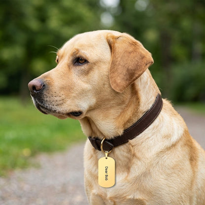 Personalized Black Military Pet Tag Necklace - Custom Engraved Dog & Cat ID Tag