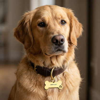 Personalized Gold Bone Pet ID Tag - Custom Engraved Dog & Cat Name Tag